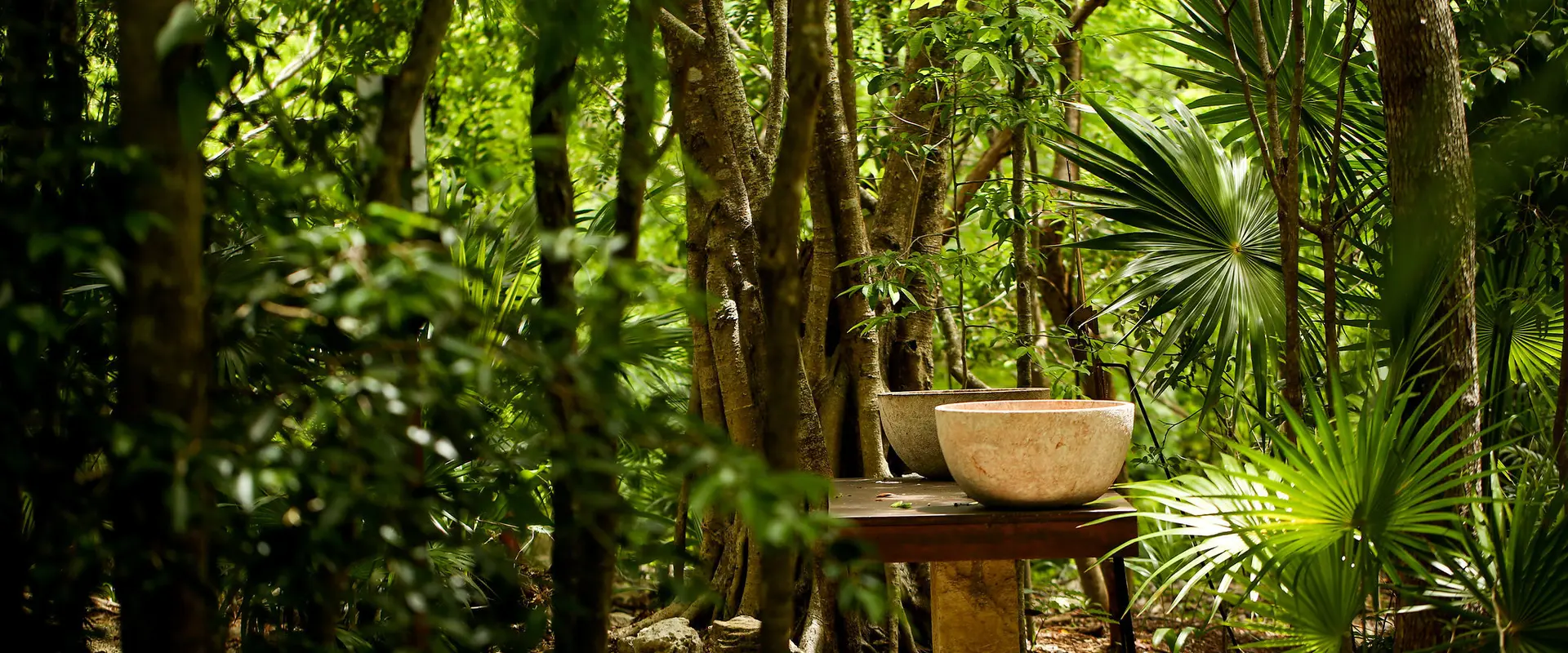 Blue Diamond Wellness Resort Blue Diamond Wellness Resort Riviera Maya Blue Diamond Wellness Resort Blue Diamond Wellness Resort Riviera Maya